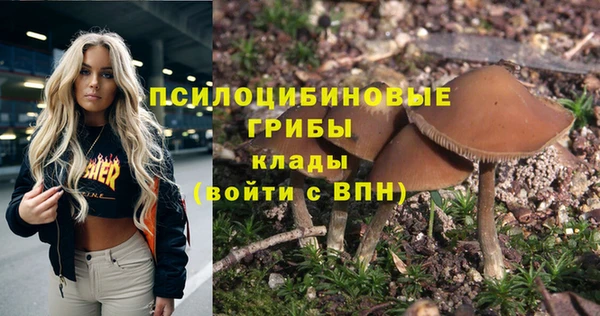 круглые Белокуриха
