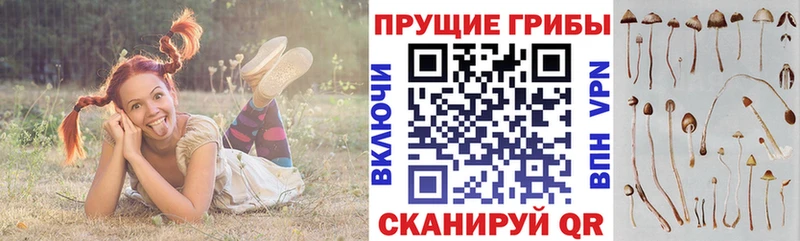 мега маркетплейс  Кунгур  Псилоцибиновые грибы мухоморы 