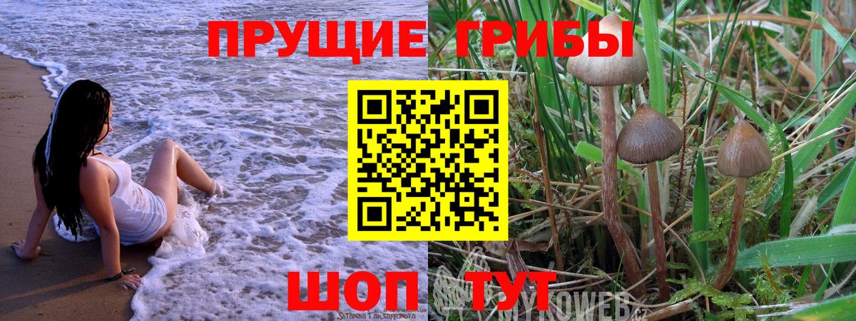 Галлюциногенные грибы ЛСД  Вход с VPN  Кунгур 